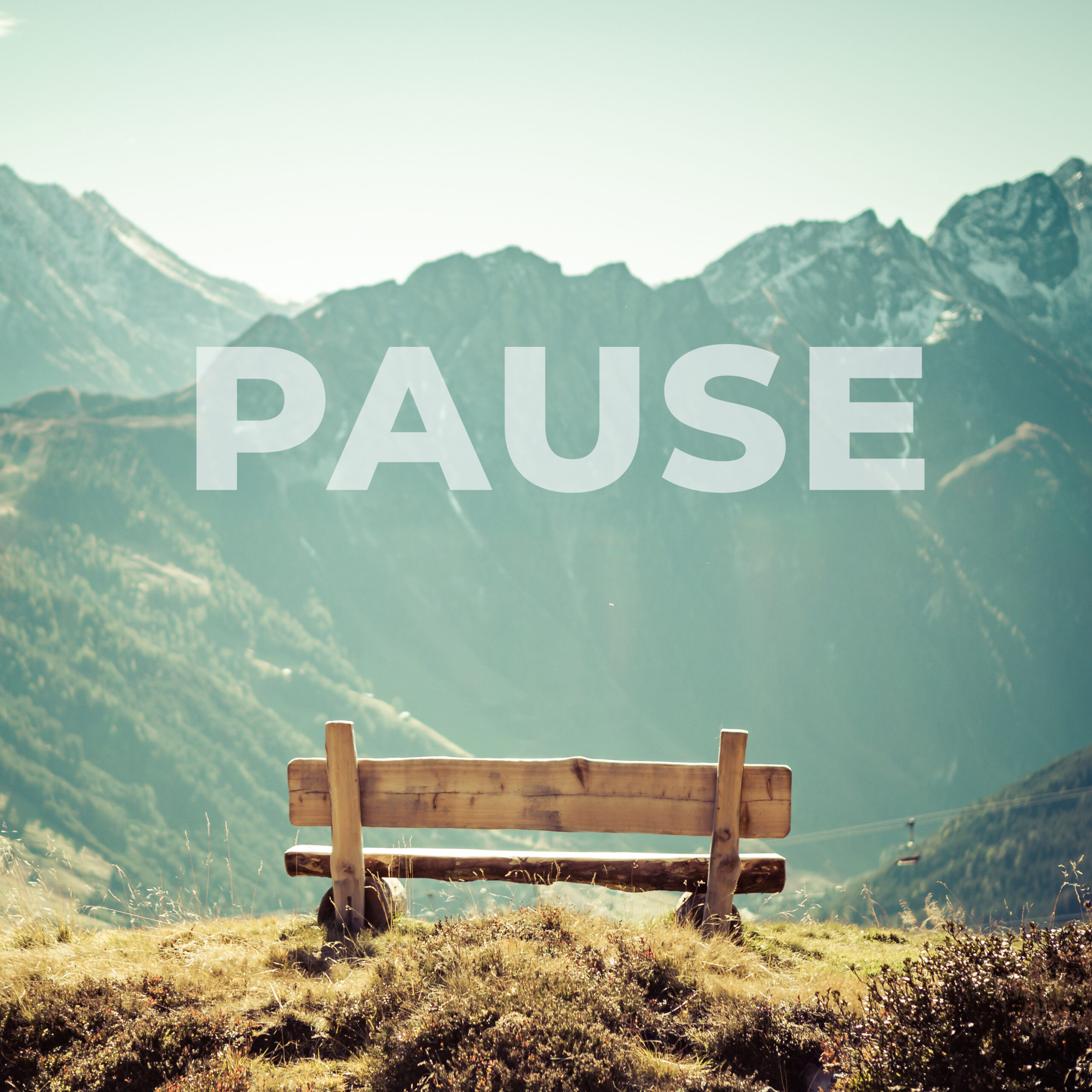 Read more about the article Pause and Ponder Your Profession